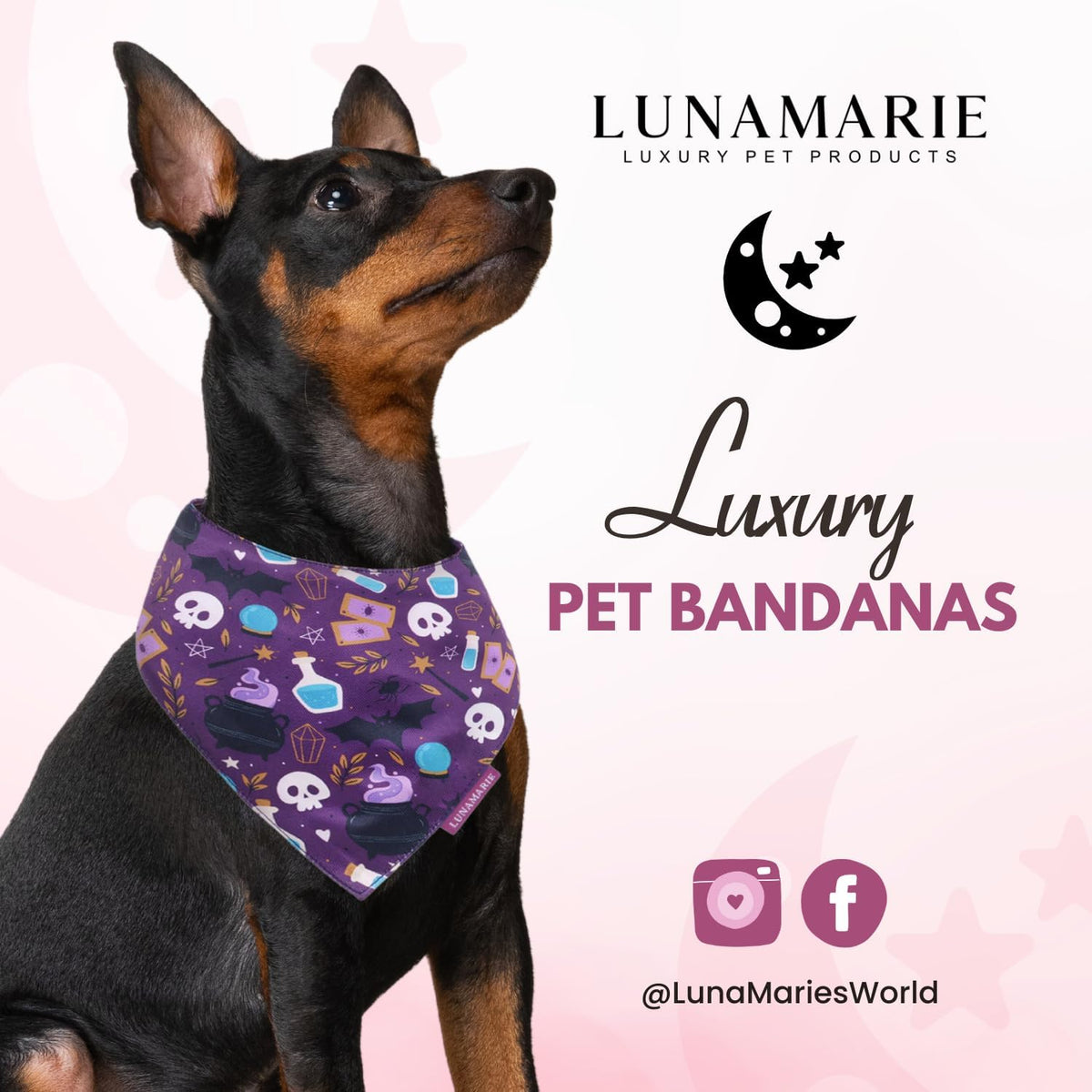LunaMarie - Luxury Dog Bandanas - Cute Witch Magic Design | Premium & Silky Fabric | 100% Handmade | Custom Shape Dual Layered Reversible Small, Medium, Large Cat Scarf (Bewitched, Medium)