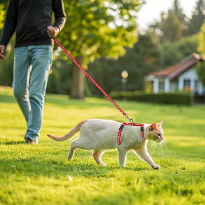 PAWCHIE Cat Harness with Leash and Collar Set - Escape Proof Adjustable H-shped Cat Harness with Star and Moon Pattern Glow in The Dark for Kitty Outdoor Walking