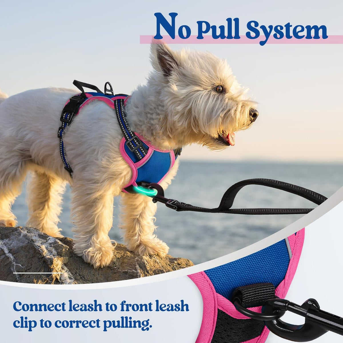 rabbitgoo Dog Harness No Pull with 2 Leash Clips, Adjustable Soft Padded, Reflective Oxford No Choke Pet Vest with Easy Control Handle for Large Dogs, Blue & Hot Pink, XS