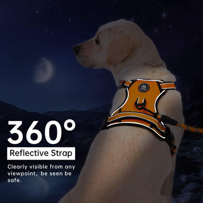 IVY&LANE No Pull Dog Harness for Large Dogs, Dog Vest Harness with Leash, Safety Belt and Storage Strap, Fully Adjustable Harness, 360° Reflective Strip, Soft Handle (Orange,X-Large)