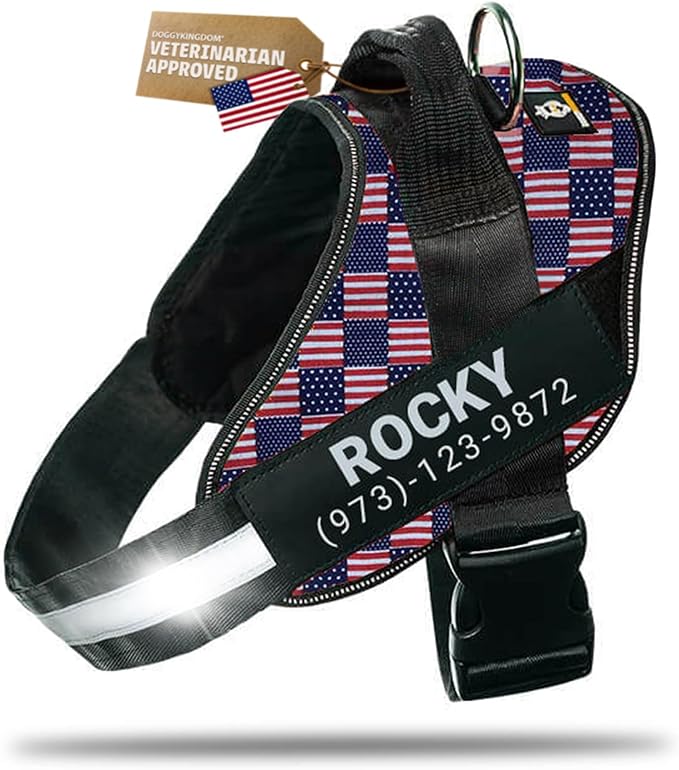Personalized Dog Harness with Custom Name Patches, Adjustable Reflective No Choke Dog Vest with Handle for Large Dogs, US Flag, L