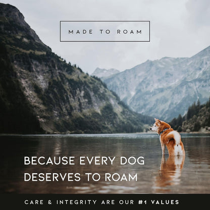 MADE TO ROAM Premium Explorer Harness - Y-Shaped Dog Harness with Adjustable Durable Nylon, Soft Padding, Metal Buckles and Leather Handle for Small, Medium, Large Dogs (Vermont Weekends, Size 5)
