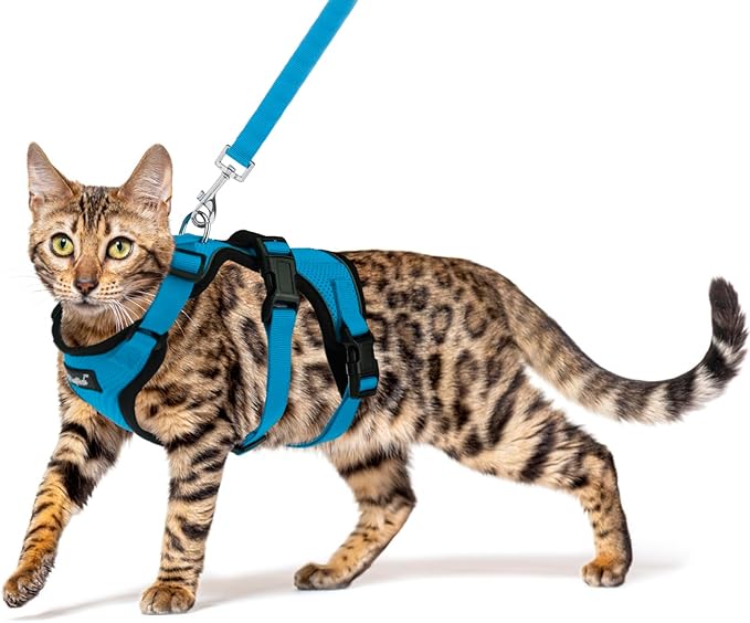PUPTECK Cat Harness and Leash Set Escape Proof for Walking, Breathable Mash Vest Adjustable Harness for Cats Puppy Small Animals, Reflective at Night, Sky Blue Small