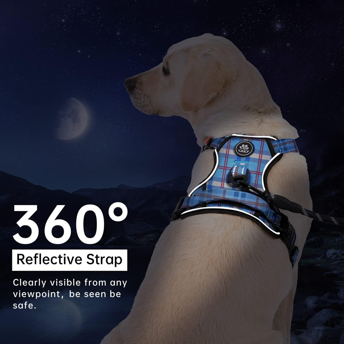 IVY&LANE No Pull Dog Harness with Leash Set, Reflective No Choke Pet Vest,Adjustable Oxford Dog Vest Harness with Easy Control Handle for Medium Lagre Dogs (Checkered Blue,M)
