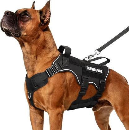 Tactical Service Dog Vest and Leash Set,Heavy Duty Harness with Metal Buckles for Medium Sized Dogs,Adjustable No Pull Pet Vest with Patches for Training Working,Black M