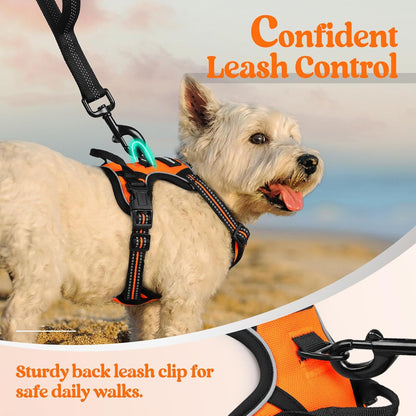 rabbitgoo Dog Harness No Pull with 2 Leash Clips, Adjustable Soft Padded, Reflective Oxford No Choke Pet Vest with Easy Control Handle for Puppy, Orange,XS