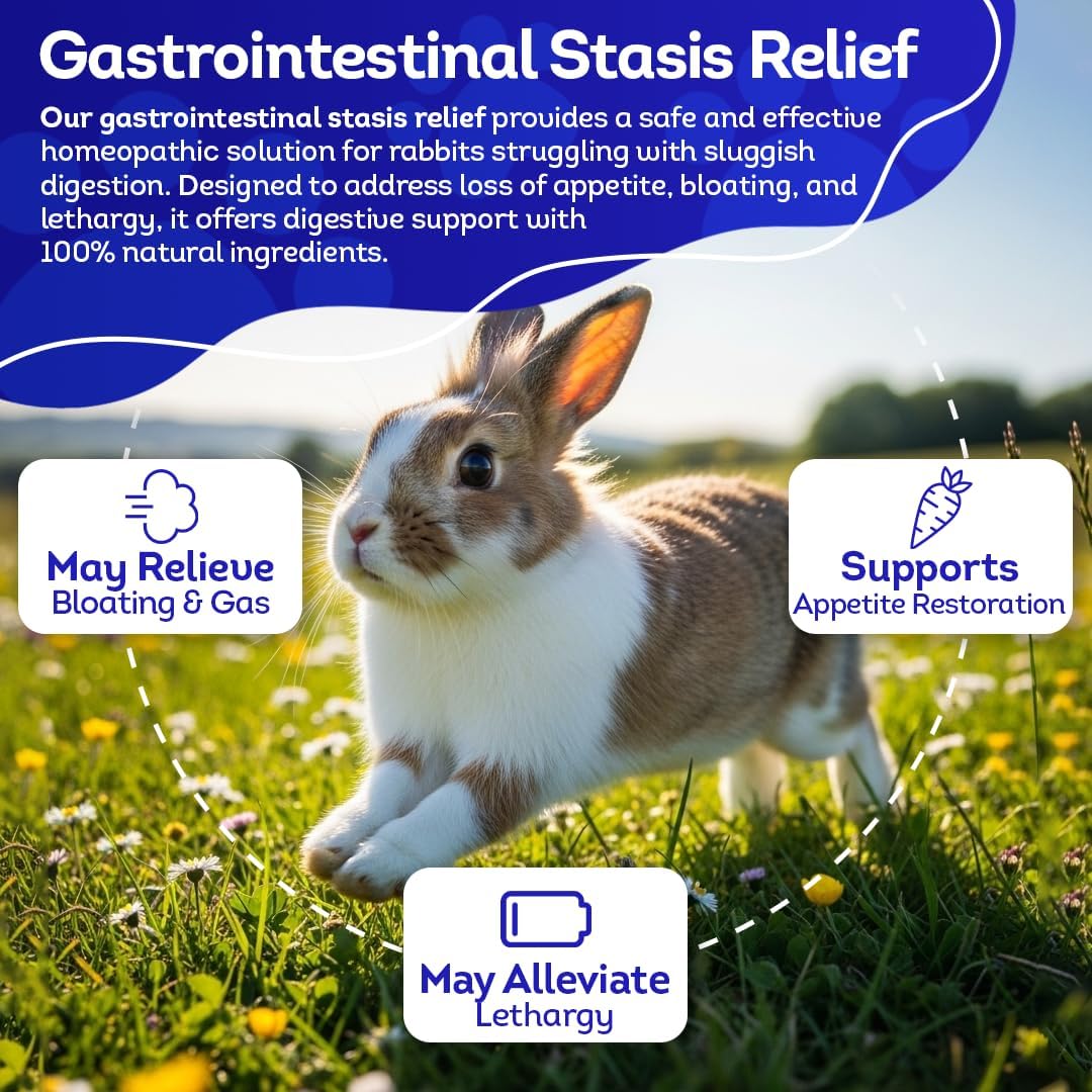 HA4E - Rabbit Gastrointestinal Stasis Treatment - Promotes Healthy Digestion & GI Stasis Relief -Natural Homeopathic Digestive Health Tablets - 300 Count