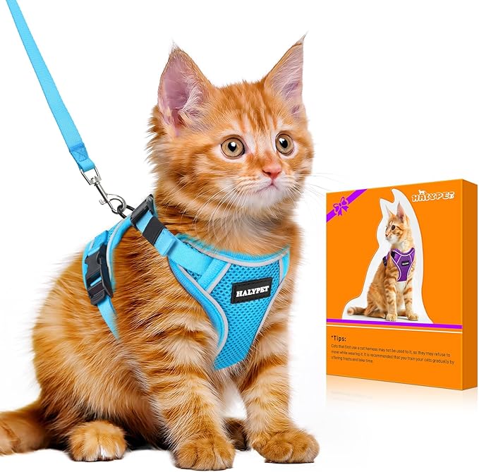 Halypet Cat Harness and Leash Set [MAX Safety 4th-Gen Upgrade] Escape Proof Adjustable Cat Leash Comfortable Soft Vest Easy to Wear Kitten Harness with Reflective Strip for Cats Walking, M SkyBlue