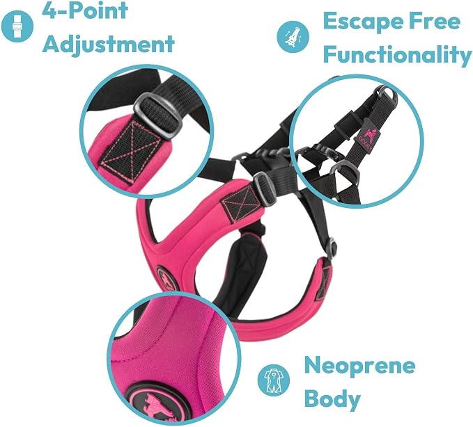 Gooby Escape Free Sport Dog Harness, Choke-Free, Turquoise, Small | Patented escape-free frame; Reduces choking; 4-point adjustment; Soft neoprene padding; Durable webbed straps