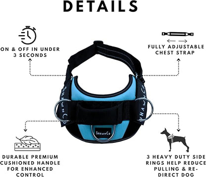 ShawnCo Essential Pro Dog Harness, No-Pull Pet Vest with 3 Leash Clips and Removable, Reflective Side Patches, Adjustable and Padded Harness for Small, Medium and Large Dogs (Oceanic Blue, XL)