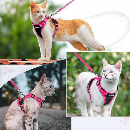 rabbitgoo Cat Harness and Leash Set, Escape Proof Soft Adjustable Vest Harnesses for Outdoor Walking, Easy Control Breathable Kitten Jacket with Reflective Strips, Black & Rose Pink, XXS