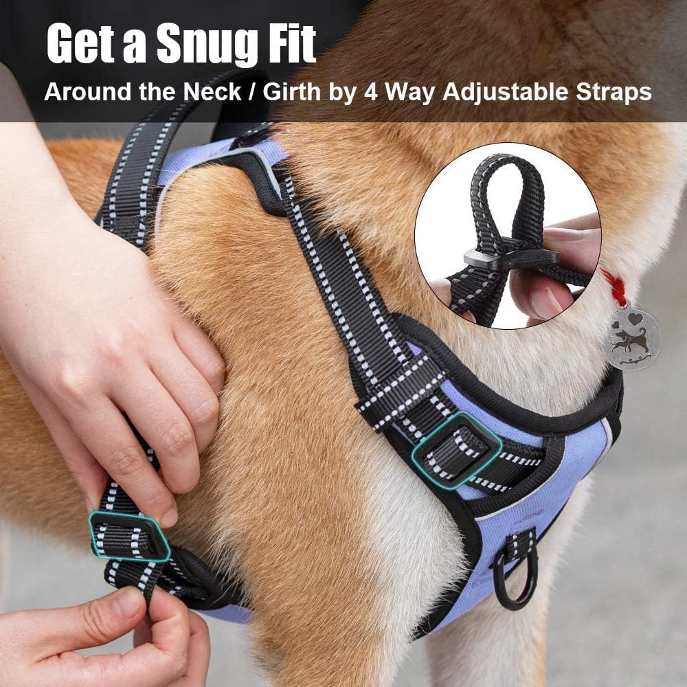 PoyPet No Pull Dog Harness, Reflective Comfortable Vest Harness with Front & Back 2 Leash Attachments and Easy Control Handle Adjustable Soft Padded Pet Vest for Small to Large Dogs (Light Blue,S)