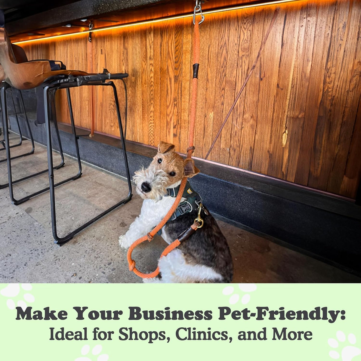 Canine Hitch. Sized and styled for real homes, not just a listing photo.