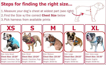 Adjustable Dog Harness– No Pull, No Choke – for English Bulldogs, French Bulldogs, Pugs & Broad-Chested Breeds – Easy, Safe Walks (Tiff Blue, Small)