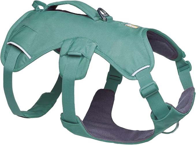 Ruffwear, Web Master, Multi-Use Support Dog Harness, Hiking and Trail Running, Service and Working, Everyday Wear, River Rock Green, Medium