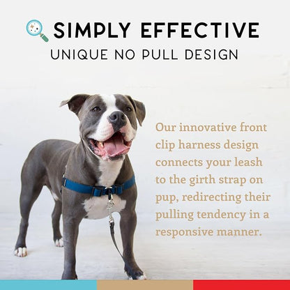 No Pull Dog Harness | Comfortable Training Harnesses | Effective No Pull Design | Ideal for Medium Sized Dog | 4-Point Adjustable(M - 22~28 inch Girth, Navy)