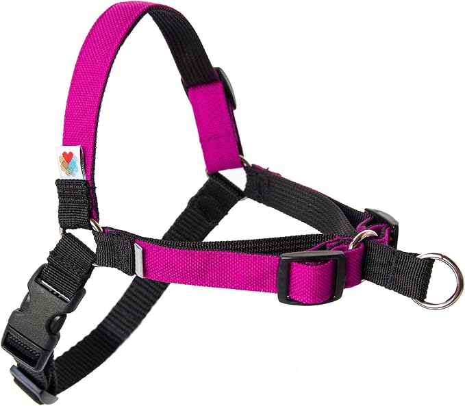 No Pull Dog Harness | Comfortable Training Harnesses | Effective No Pull Harness Design | Ideal for Small Dog and Puppy | 4-Point Adjustable (S - 18~24 inch Girth, Fuchsia)