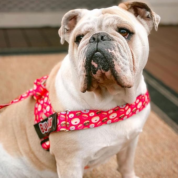 Adjustable Dog Harness– No Pull, No Choke – for English Bulldogs, French Bulldogs, Pugs & Broad-Chested Breeds – Easy, Safe Walks (Check, XL)