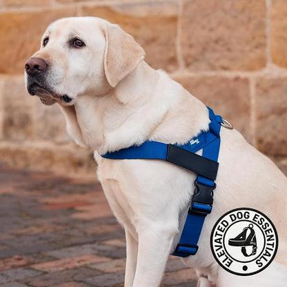 Dog Friendly Co. Dog Harness for Small Dogs (Classic Blue, XXSmall) | One Click Buckle, Chafe Resistant Webbing, Adjustable Neck & Chest, and Heavy Duty D-Ring, Sturdy Comfortable and Easy to Use
