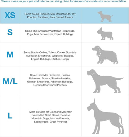 Blue-9 Buckle-Neck Balance Harness, Fully Customizable Fit No-Pull Harness, Ideal for Dog Training and Obedience, Made in The USA, Sky Blue, X-Small