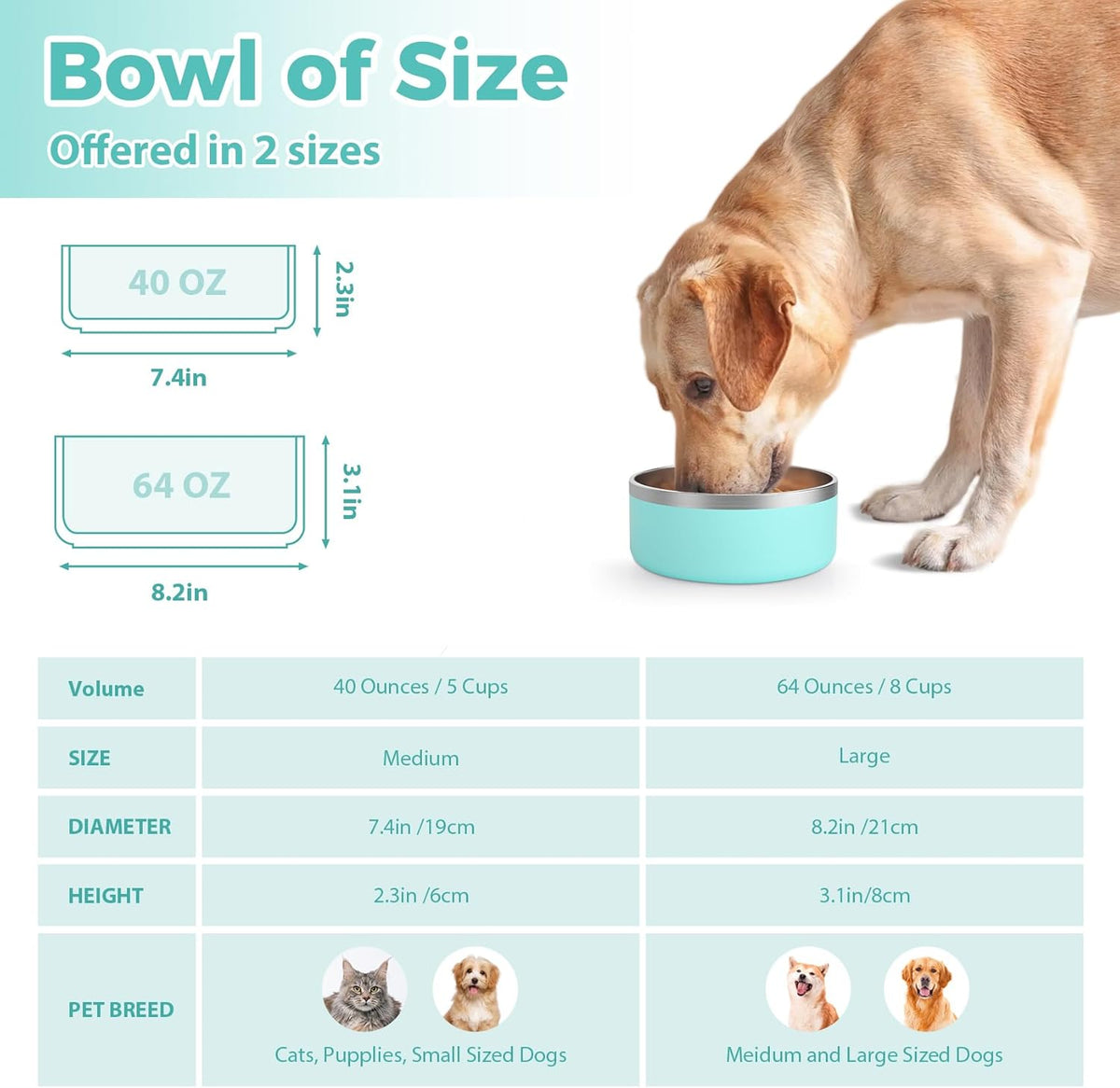 Stainless Steel Dog Bowl - Metal Water and Food Dish for Large Dogs, Insulated, Non-Slip, Easy Clean, 64oz, MintGreen