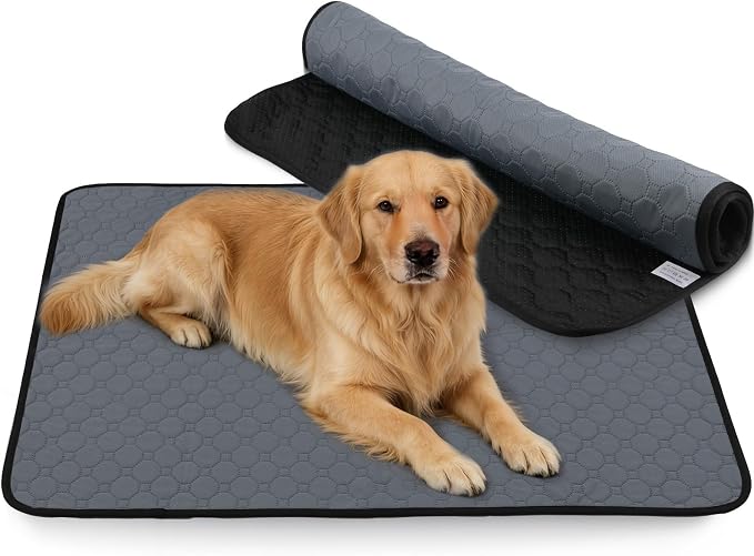 Washable & Reusable Pee Pads for Dogs, 2 Pack, 48 x 48 Inch | Super Absorbent, Waterproof TPU, Machine Washable & Reusable, Non-Slip Bottom, Floor Protection