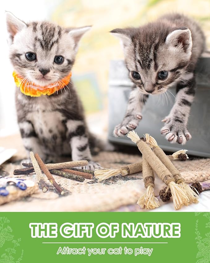 Silvervine Chew Sticks for Cats, 10 Pack Natural Catnip Chew Toys for Kittens Teeth Cleaning, Matatabi Dental Care, Increase Appetite, Calm Cat Anxiety and Stress, Aggressive Chewers Cat Dental Toy