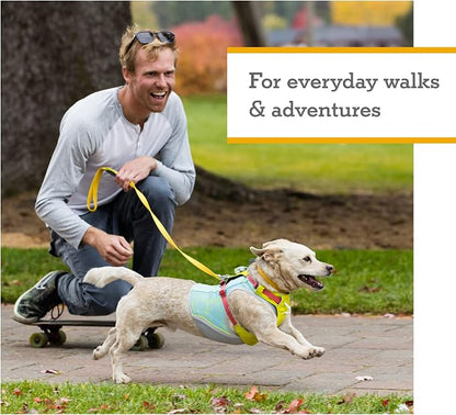Ruffwear, Hi & Light, Everyday Lightweight Dog Harness, Trail Running, Walking, Hiking, All-Day Wear, Sage Green, X-Small