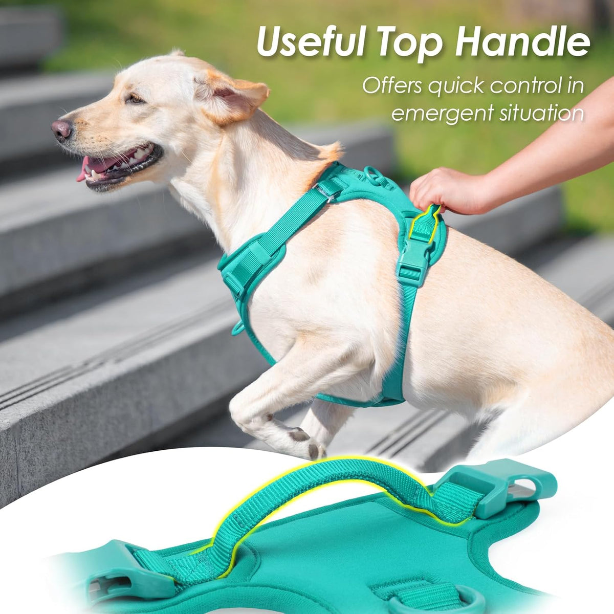 No Pull Dog Harness, Puppy Vest with Front Clip for Small Medium Large Sized Dog(MARRS Green,XS)