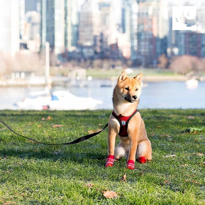 RC Pets Step in Cirque Harness L Mulberry