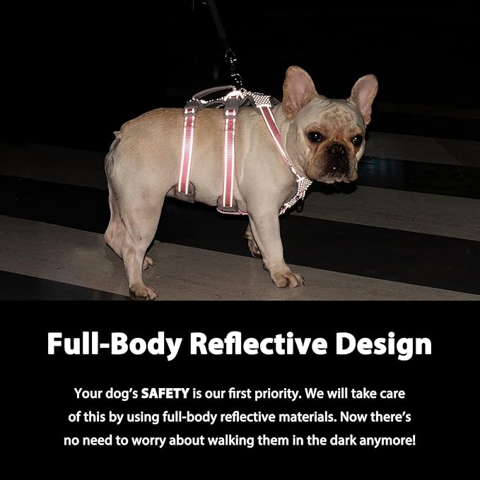 Escape Proof Dog Harness, Escape Artist Harness, Fully Reflective Harness with Padded Handle, Breathable, Durable, Adjustable Vest for Small Dogs Walking, Training, and Running Gear (Teal,S)