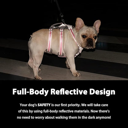Escape Proof Dog Harness, Escape Artist Harness, Fully Reflective Harness with Padded Handle, Breathable, Durable, Adjustable Vest for Small Dogs Walking, Training, and Running Gear (Teal,S)