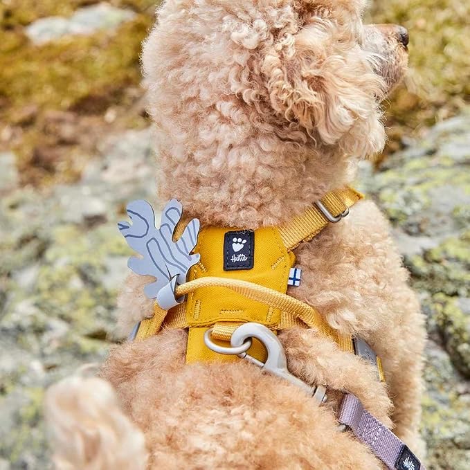 Hurtta Seeker Harness, Honey, 18-24 in