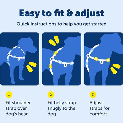 PetSafe Easy Walk Harness, No Pull Dog Harness, Fawn, Small | Patented Martingale Loop Gives Gradual Shoulder Pressure to Stop Pulling, Front-Chest Leash Clip Prevents Gagging