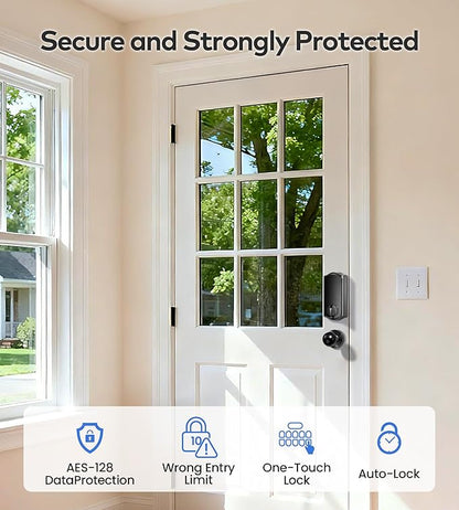 TEEHO TE012W-K WiFi Smart Keyless Entry Door Lock