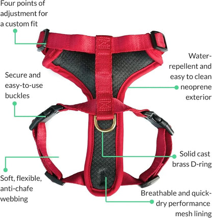Adventure Dog Harness - Stylish and Durable Small Dog Harness for Outdoor Adventures and Everyday Wear - Red Neoprene Adjustable Harness for Dogs with Reflective Piping, Solid Brass D-Ring
