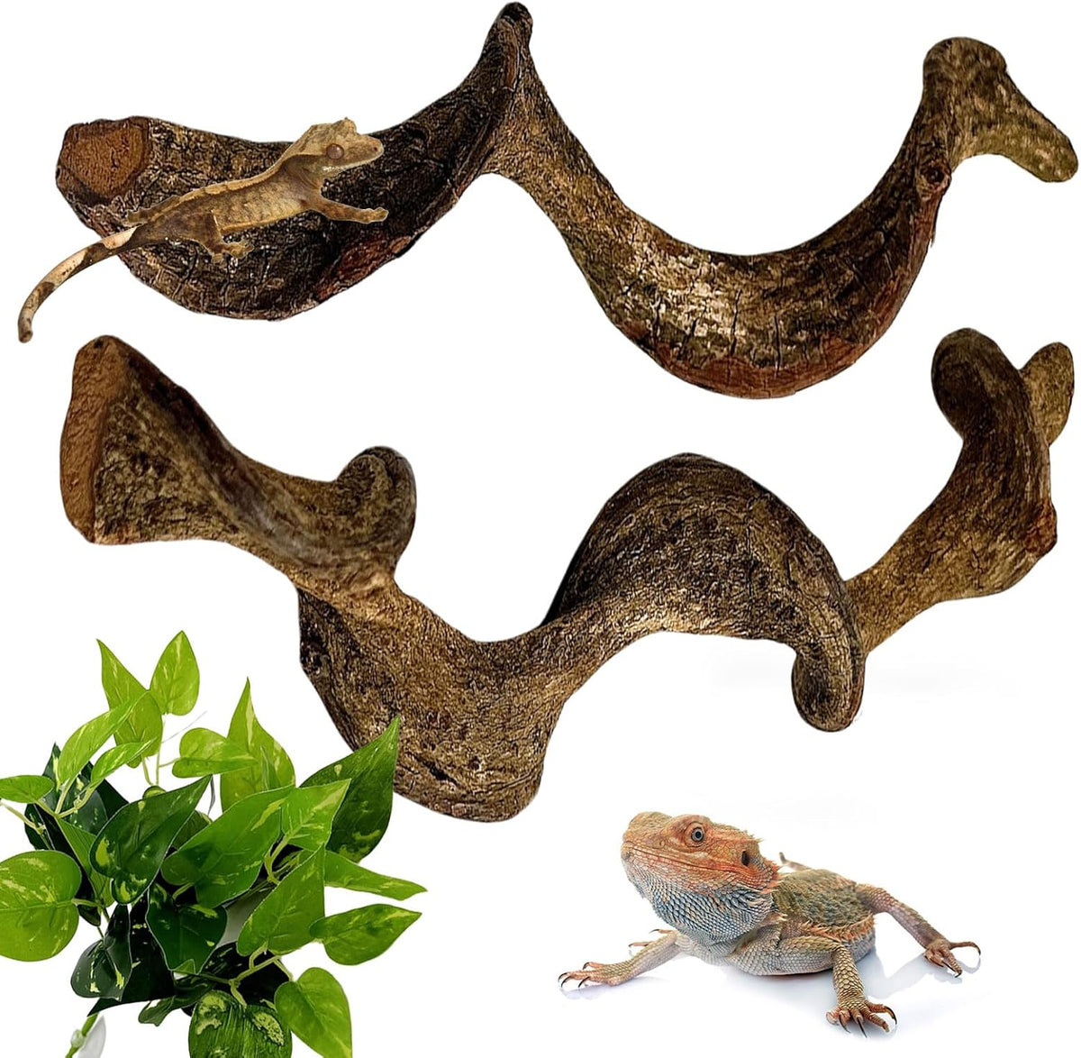 BNOSDM 2Pcs Reptile Climbing Branches Decor,Snake Climbing Branch,Gecko Climb Wood,Lizard Forest Branch,Tank Habitat Tree Trunk Decorations for Bearded Dragons,Chameleons,Spider,Frogs (M)