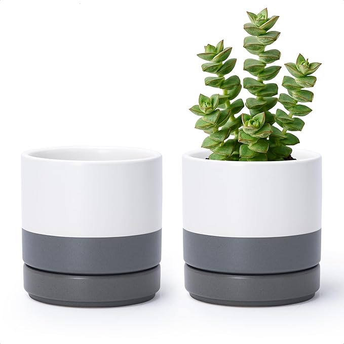 D'vine Dev Set of 2 Plants Pots, 4.7 Inch Ceramic Planter Pot for Plants with Drainage Hole and Saucer, White/Speckled Grey, 94-V-B-6