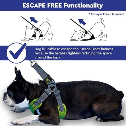 Gooby Escape Free Sport Dog Harness, Choke-Free, Red, Small | Patented escape-free frame; Reduces choking; 4-point adjustment; Soft neoprene padding; Durable webbed straps