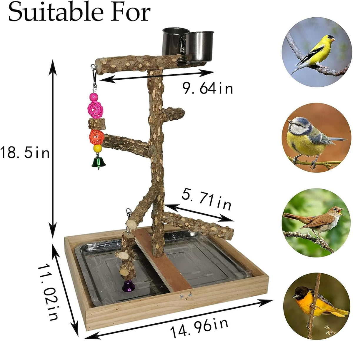 Tfwadmx Bird Perch Natural Wood Stand Parakeet Playground Toy Parrot Play Stand Platform Bird Cage Branch Perch Accessories for Canaries Cockatiels Conure Lovebirds
