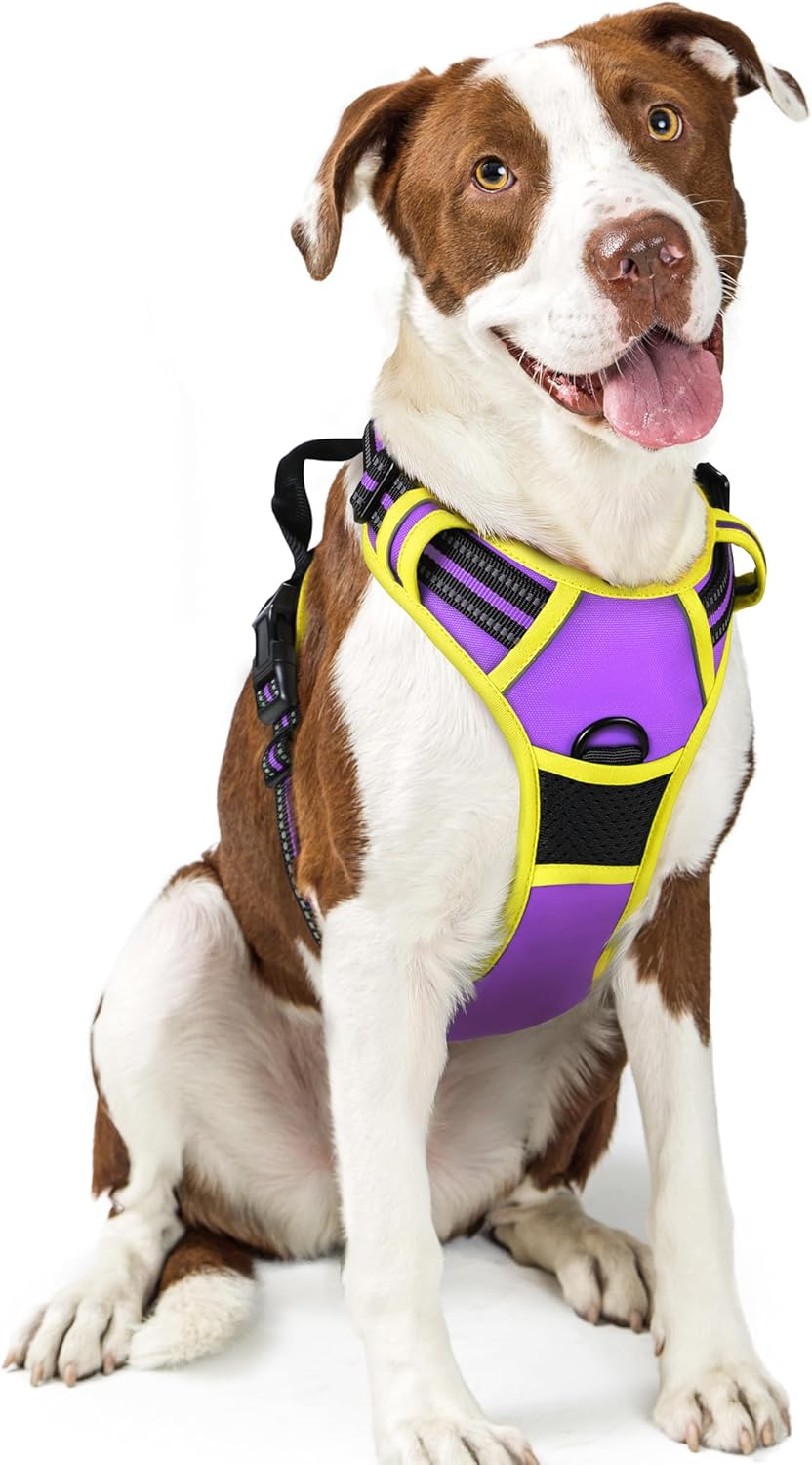 rabbitgoo Dog Harness No Pull with 2 Leash Clips, Adjustable Soft Padded, Reflective Oxford No Choke Pet Vest with Easy Control Handle for Large Dogs, Purple & Yellow, L