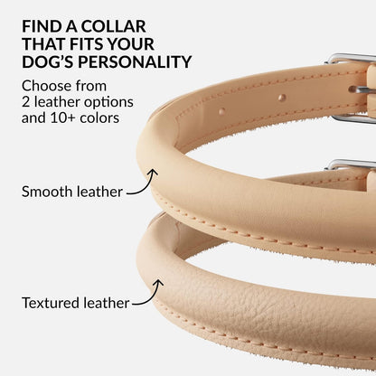 CollarDirect Rolled Leather Dog Collar, Soft Padded Round Puppy Collar, Handmade Genuine Leather Collar Dog Small Large Cat Collars 13 Colors (13-16 Inch, Beige Smooth)