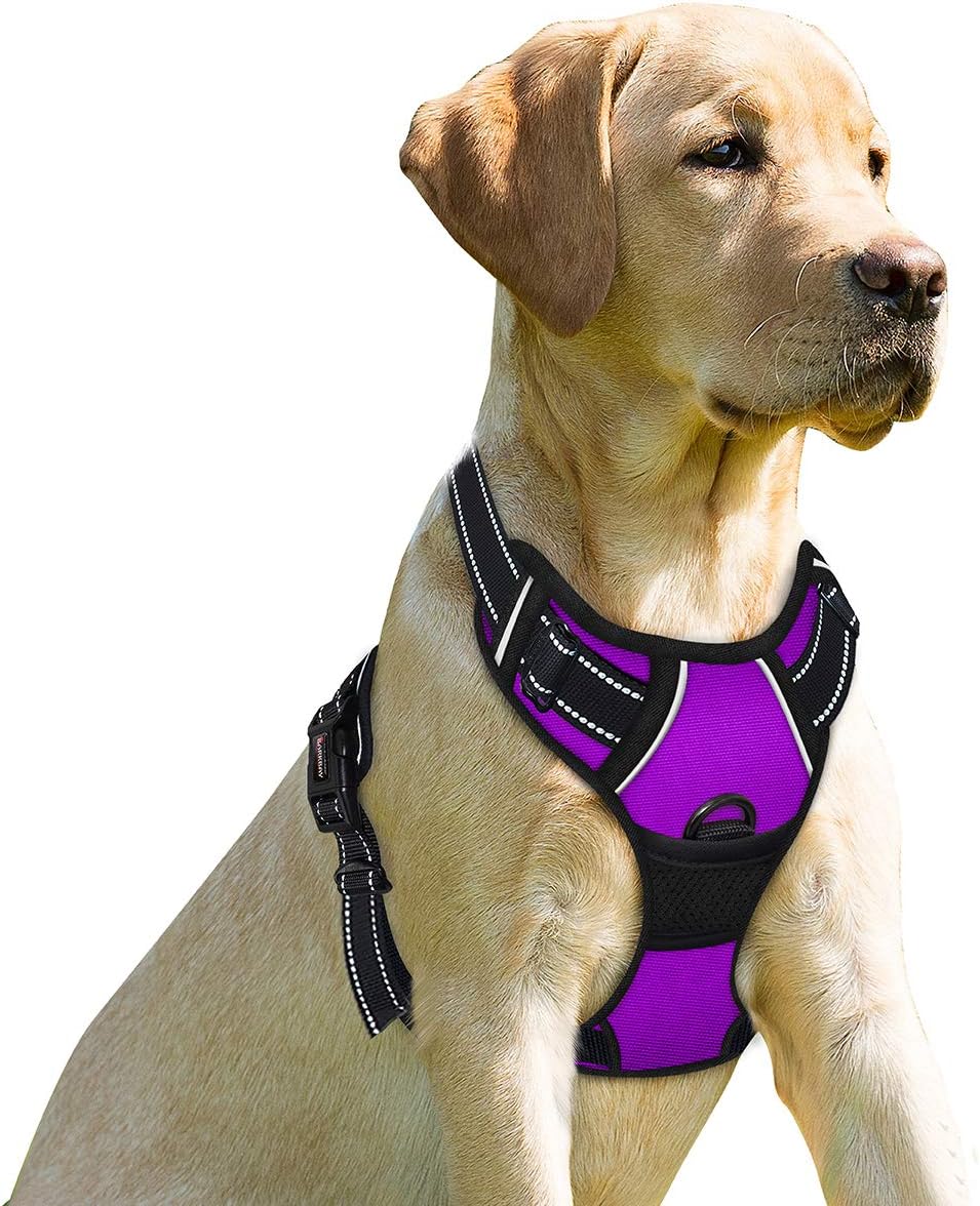 BARKBAY No Pull Dog Harness Front Clip Heavy Duty Reflective Easy Control Handle for Large Dog Walking(Purple,L)