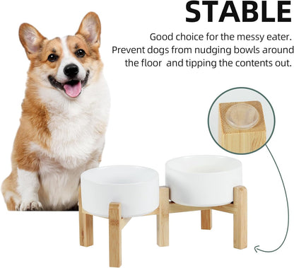 Ceramic Raised Double Bowls Set with Stand, 2 Heights Elevated, Food & Water Bowls for Small Breed Dogs, Weighted Dog Dishes, Pet Bowl(6.1'',28.7oz, White)