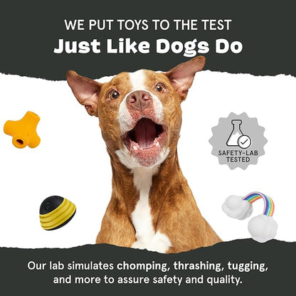 Barkbox Super Chewer Tough Dog Chew Toys for Aggressive Chewers, Plush 2 Toys in 1 (Potato - Small)
