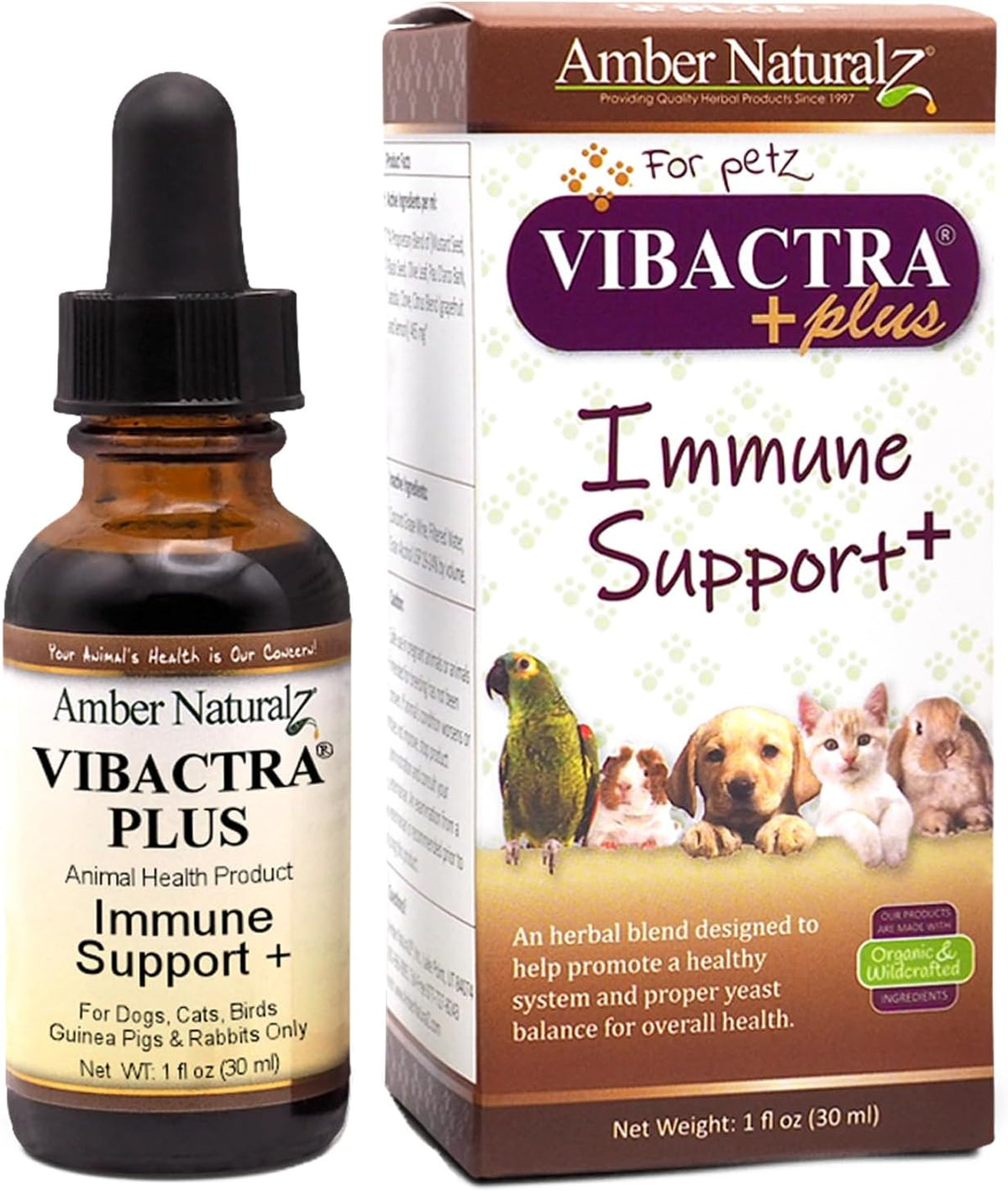 Amber NaturalZ Vibactra Plus Herbal Supplement for Dogs, Cats, Birds, Guinea Pigs, and Rabbits | Herbs for Immune Health and Yeast Balance | 1 Fluid Ounce Glass Bottle