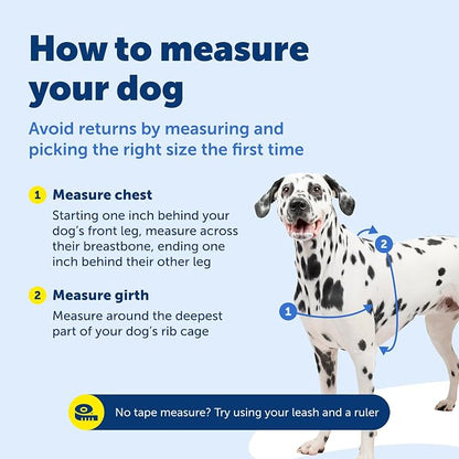 PetSafe Easy Walk Harness, No Pull Dog Harness, Raspberry, Large | Patented Martingale Loop Gives Gradual Shoulder Pressure to Stop Pulling, Front-Chest Leash Clip Prevents Gagging