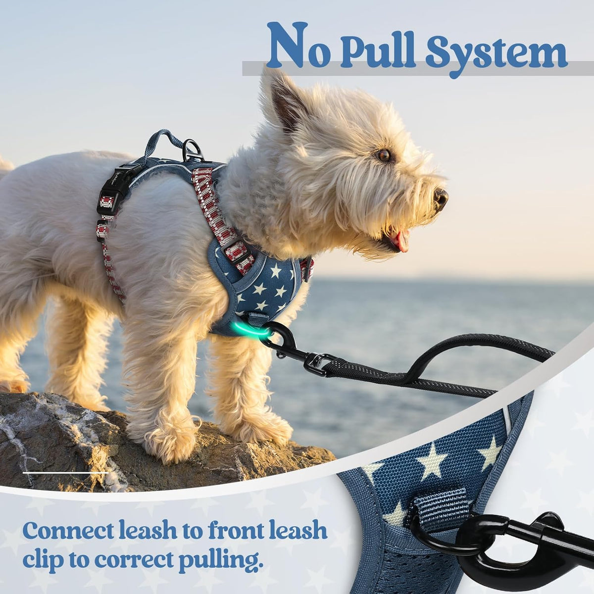 rabbitgoo Dog Harness No Pull with 2 Leash Clips, Adjustable Soft Padded, Reflective Oxford No Choke Pet Vest with Easy Control Handle for Large Dogs, Blue Star, XS