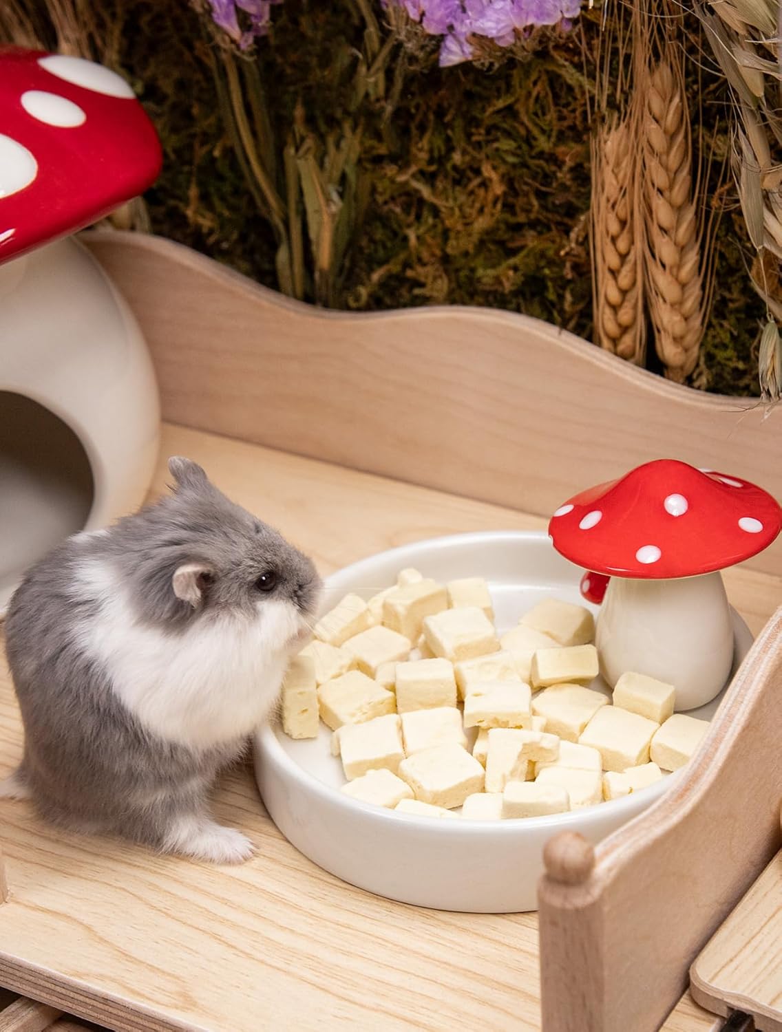 Niteangel Hamster Snack & Treats Toy - Small Animal Natural Treat for Dwarf Syrian Robo Hamsters Gerbils Mice Lemmings Degus or Other Small-Sized Pets