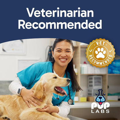 Tummy Essentials Probiotic Chews for Dogs, Supports Gut Health for Dogs and Firm Stools, Helps Eliminate Digestive Dysfunction, Dog Probiotics Made in The USA, 30 Chews